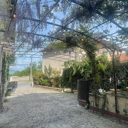 Luxury House Teodora Villa Дева Екстериор снимка
